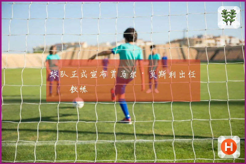 球队正式宣布贾马尔·莫斯利出任主教练